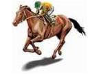 Horse Racing Commentary and Results on your phone
